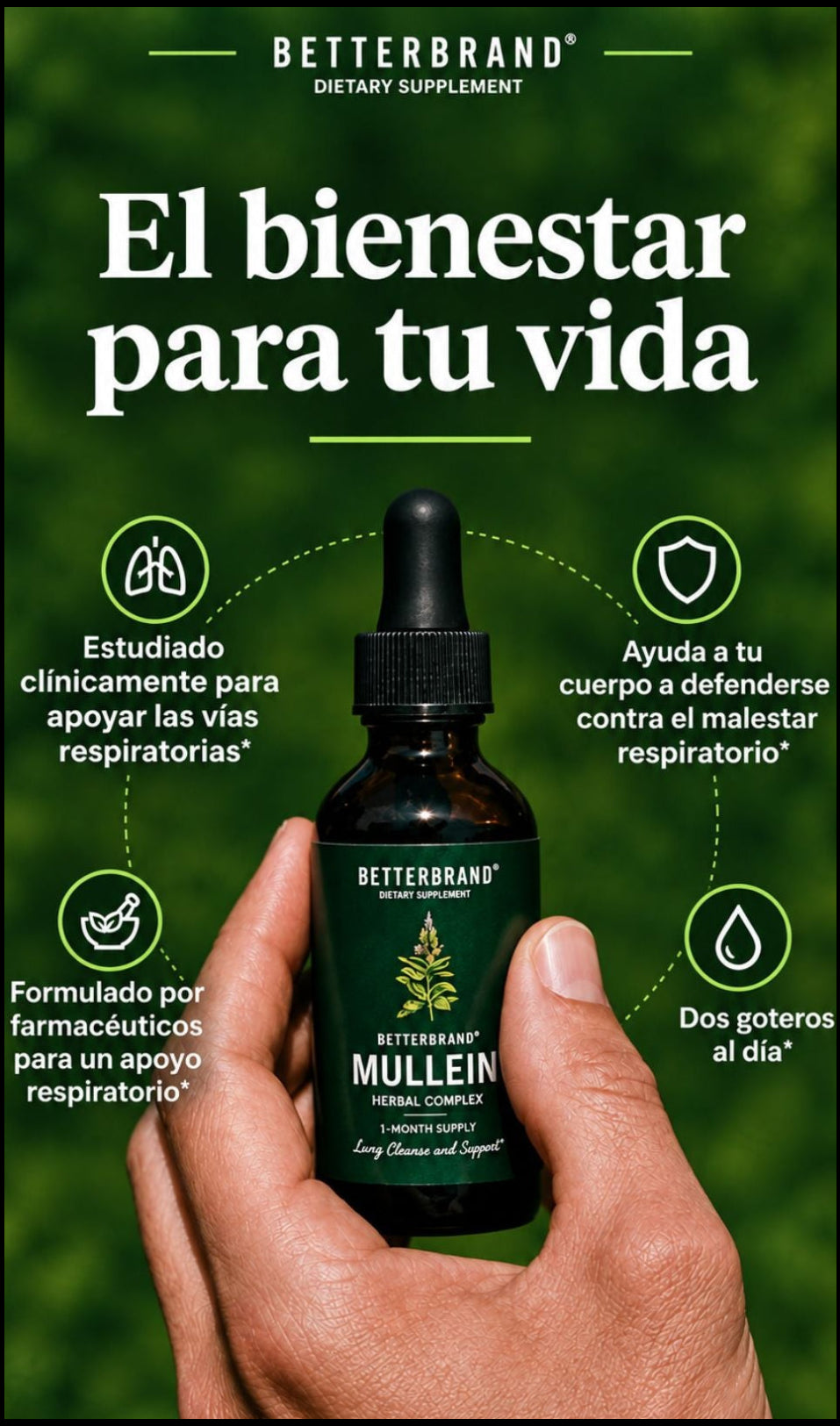Suplemento BETTERBRAND Mullein + Chlorophyll gotero 60 ml - Renovación y eficiencia pulmonar