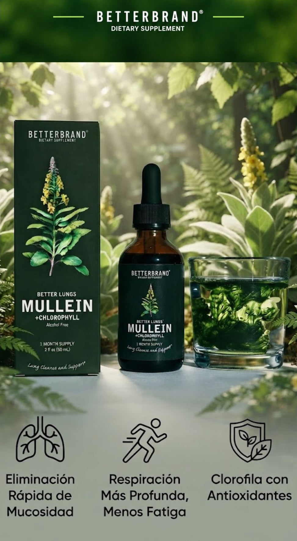Suplemento BETTERBRAND Mullein + Chlorophyll gotero 60 ml - Renovación y eficiencia pulmonar